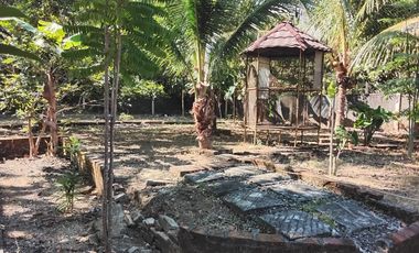 Jual rumah villa di argomulyo sedayu bantul Yogyakarta