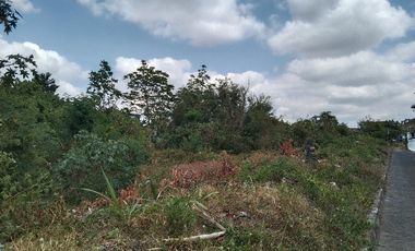 Tanah dijual murah 6452  m2 LD50 m dekat kantor walikota Yogyakarta