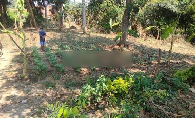 Jual TANAH di jalan raya PANTURA , Kramat TEGAL