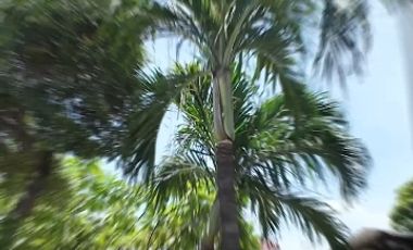 rumah komersial pakuwon city dekat araya puri galaxy kertajaya