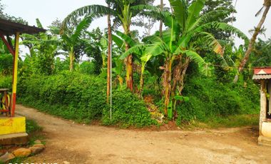 Aset BTN Pekalongan, Tanah Kosong di Kandeman Kab. Batang