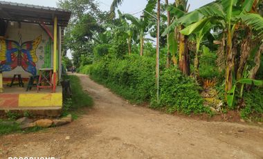 Aset BTN Pekalongan, Tanah Kosong di Kandeman Kab. Batang