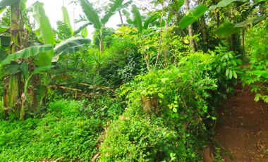 Aset BTN Pekalongan, Tanah Kosong di Kandeman Kab. Batang