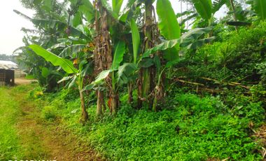 Aset BTN Pekalongan, Tanah Kosong di Kandeman Kab. Batang