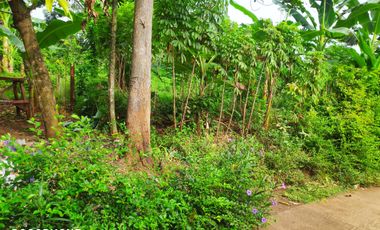 Aset BTN Pekalongan, Tanah Kosong di Kandeman Kab. Batang