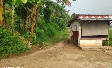 Aset BTN Pekalongan, Tanah Kosong di Kandeman Kab. Batang