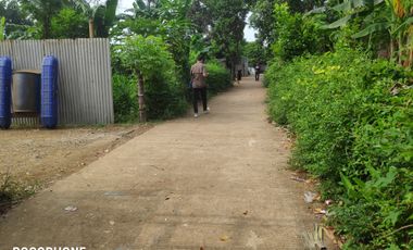 Aset BTN Pekalongan, Tanah Kosong di Kandeman Kab. Batang