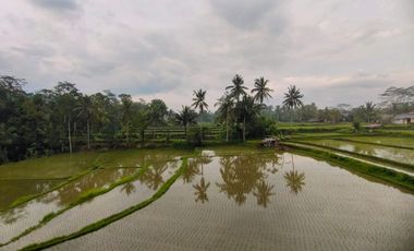Villa style Bali full view terasering sawah di ubud