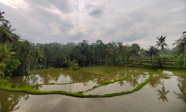 Villa style Bali full view terasering sawah di ubud