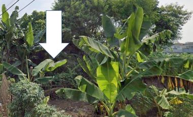 Dijual Tanah di Serpong dekat Paradise Mall - Lokasi Strategis