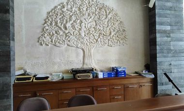 Dijual Gedung dan Kantor jln Cok Agung Tresna Renon Denpasar