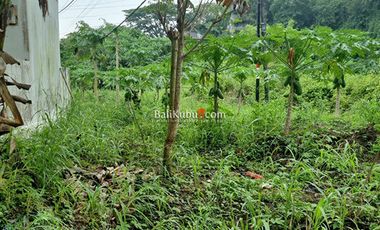 AMS-070.RGL Jual Tanah Kavling Murah di Perumahan Exclusive di Tabanan