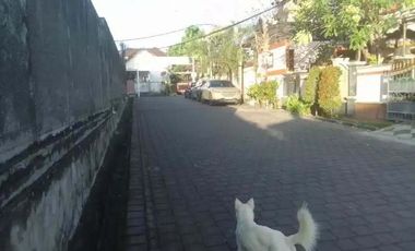 Rumah 5 Kamar di Lokasi Strategis Padang Sambian