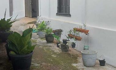 Rumah Model Joglo Dekat Tempat Wisata 742 m²