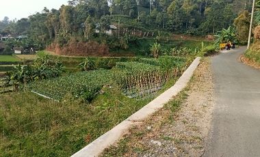 Villa 2 Lt + Gudang Teh, Lt. 1100 m, Darangdan, Purwakarta.