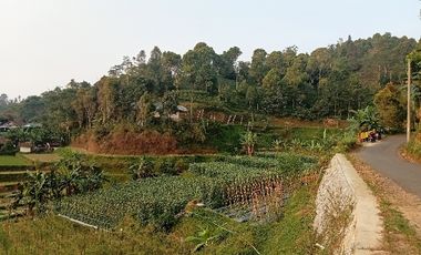 Villa 2 Lt + Gudang Teh, Lt. 1100 m, Darangdan, Purwakarta.