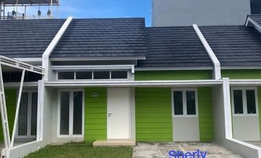 FREE PPN Type 55 ROYAL SPRING