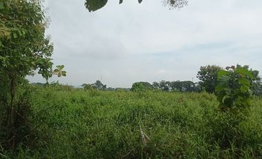 TANAH PERTANIAN WONOSARI KLATEN MURAH