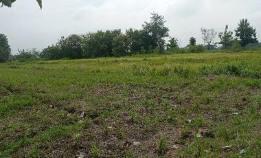 TANAH PERTANIAN WONOSARI KLATEN MURAH