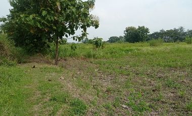 TANAH PERTANIAN WONOSARI KLATEN MURAH