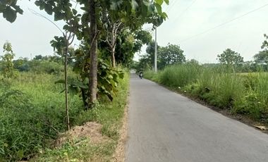 TANAH PERTANIAN WONOSARI KLATEN MURAH