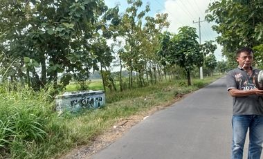 TANAH PERTANIAN WONOSARI KLATEN MURAH