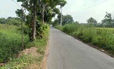 TANAH PERTANIAN WONOSARI KLATEN MURAH