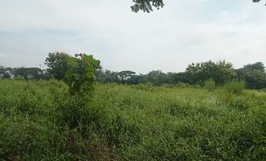 TANAH PERTANIAN WONOSARI KLATEN MURAH