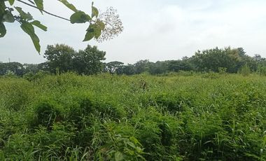 TANAH PERTANIAN WONOSARI KLATEN MURAH