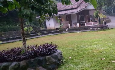 Villa kebun di Wonosalam Jombang, Jatim