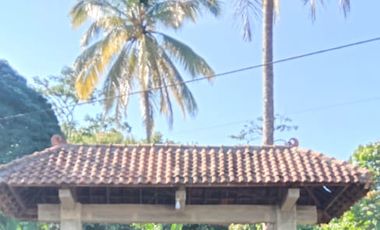 Villa kebun di Wonosalam Jombang, Jatim