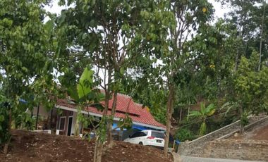 Villa kebun di Wonosalam Jombang, Jatim