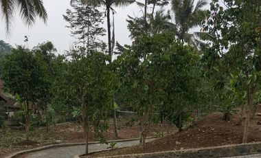 Villa kebun di Wonosalam Jombang, Jatim