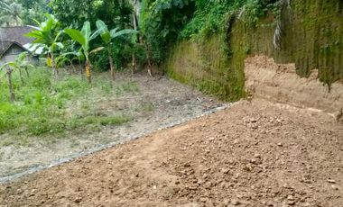 TANAH DIJUAL HARGA BORONGAN SANGAT MURAH COCOK U/ INVES DI PANDAK BANTUL JK10539