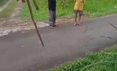 TANAH MURAH SEKALI LOKASI DI KALIBAWANG ADA POHON DURIANNYA AKSES ASPAL. JK10446