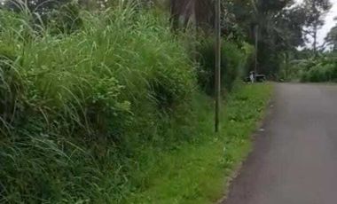 TANAH MURAH SEKALI LOKASI DI KALIBAWANG ADA POHON DURIANNYA AKSES ASPAL. JK10446