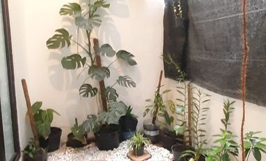 Rumah Cluster Amartha Safira Candi Sidoarjo Dijual Murah cpt B.U Poll