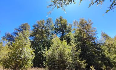 SE VENDEN 2 TERRENOS CERCA DE CHILLAN, PINTO, POR RECINTO
