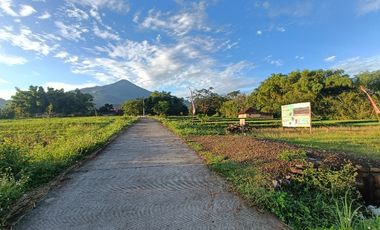 KAVLING DEKAT WISATA BERNAH DEVALEY