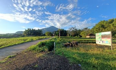 KAVLING DEKAT WISATA BERNAH DEVALEY