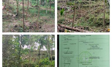 dijual tanah murah dekat Wisata Citumang Pangandaran 212 juta