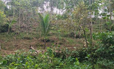 dijual tanah murah dekat Wisata Citumang Pangandaran 212 juta