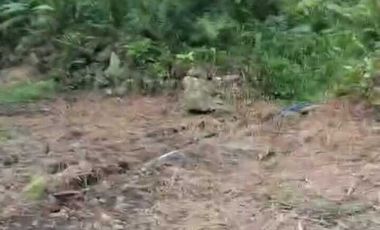 dijual tanah murah dekat Wisata Citumang Pangandaran 212 juta