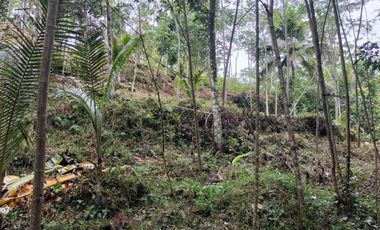 dijual tanah murah dekat Wisata Citumang Pangandaran 212 juta