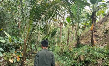 dijual tanah murah dekat Wisata Citumang Pangandaran 212 juta