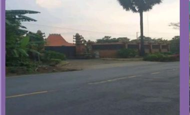 Dijual cepat, murah, rumah joglo di Raya Tuban-Babat