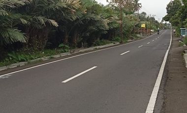 Disewakan Tanah Murah Tepi Jalan Utama Pakem