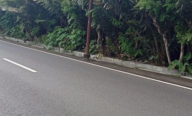 Disewakan Tanah Murah Tepi Jalan Utama Pakem