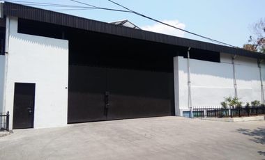 Disewakan Gudang Peternakan 3 Kapuk