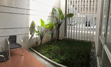 0451 - Disewakan Rumah The Mansion Pakuwon Indah 2 Lantai LB 480 m2